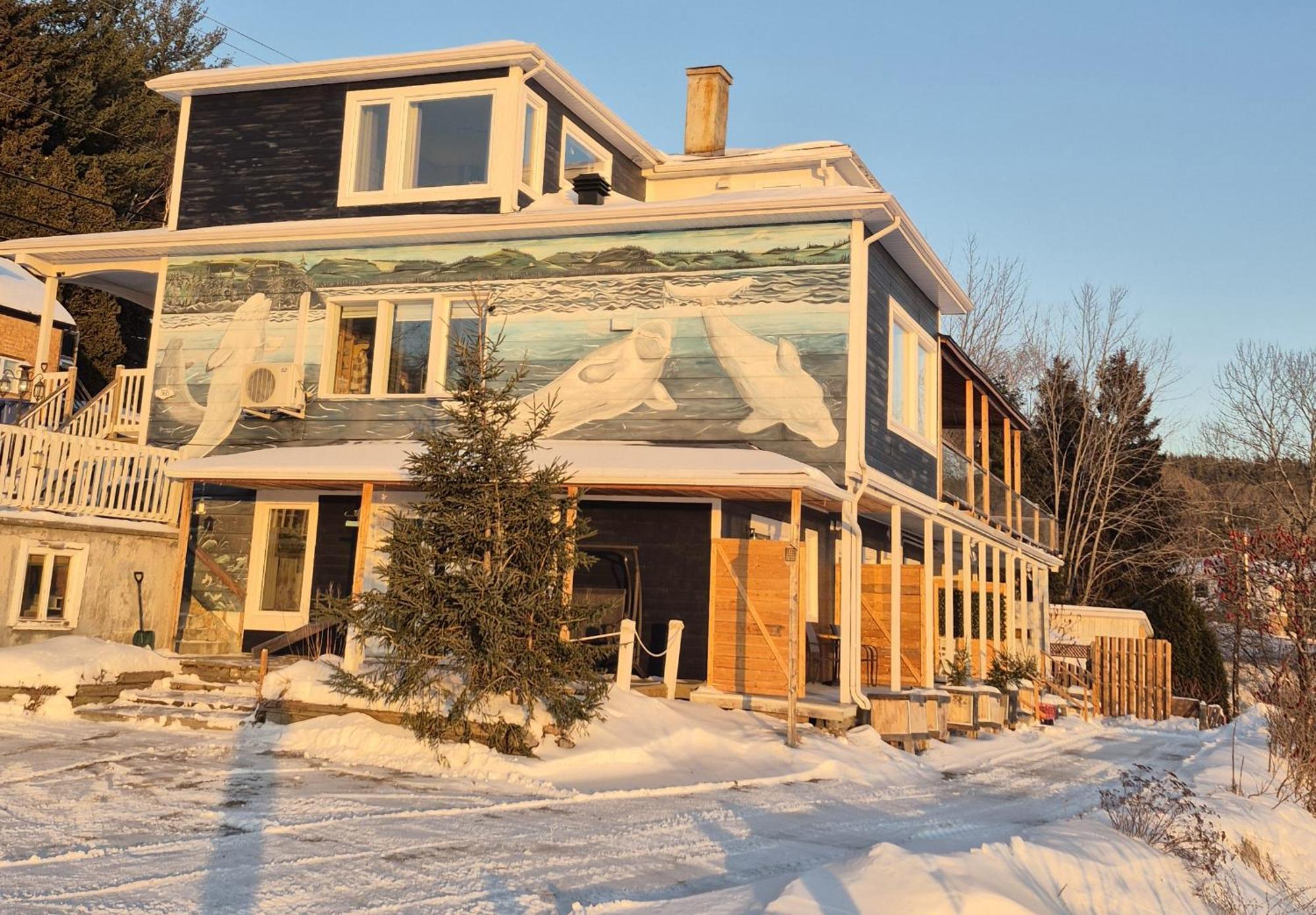 Suite 2 Fleche Du Fjord Vue Saguenay Mont Valin Saint-Fulgence Εξωτερικό φωτογραφία